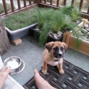 Eventually I'll get a camera better than my phone.