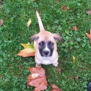 10639564_10152442583621309_379371544158594453_n