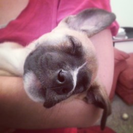 10660212_10152440389061309_5251215736680335950_n