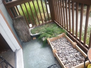 20140919_095700_resized