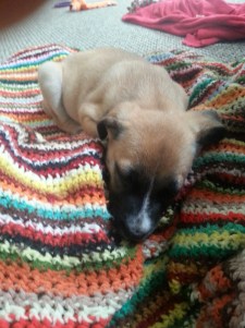 20140923_155237_resized