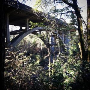 10610820_834717976578561_7967801668023192675_n