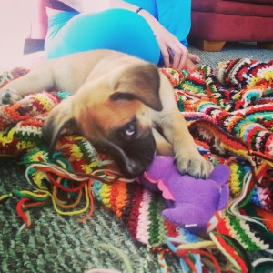 IMG_20140920_152122_resized