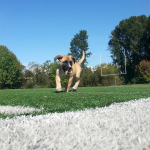 IMG_20141001_234657_resized