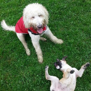 IMG_20141015_140710_resized