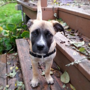 IMG_20141027_110007_resized