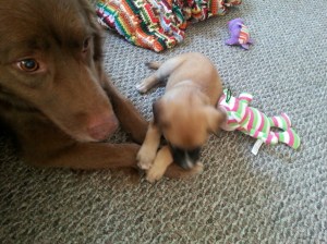 20140915_112112_resized