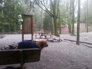 20150115_142252_resized