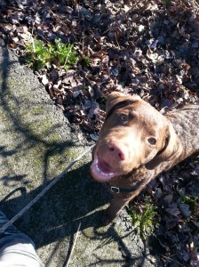 20150129_130543_resized