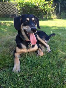 10399999_10153052988417804_8453749938071789864_n