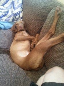 20150324_174812_resized