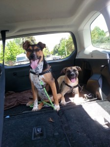 20150430_115904_resized