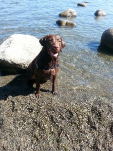 20150605_102541_resized