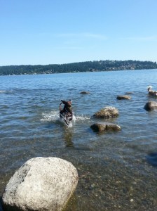 20150605_102602_resized