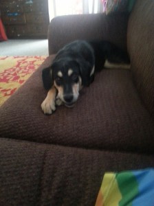 20150620_072954_resized