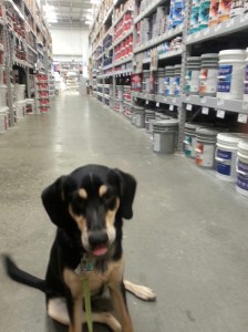 20150622_152609_resized