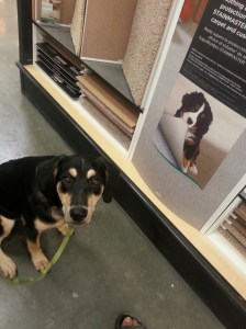 20150622_152850_resized