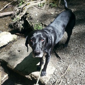 IMG_20150515_134222_resized