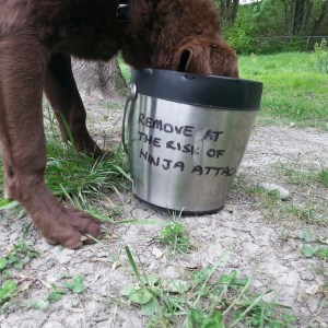 IMG_20150423_151830_resized